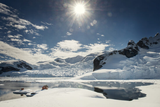 Bright Antarctic sun