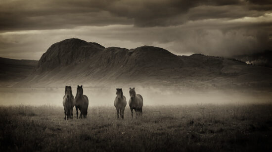 Iceland workshop 2