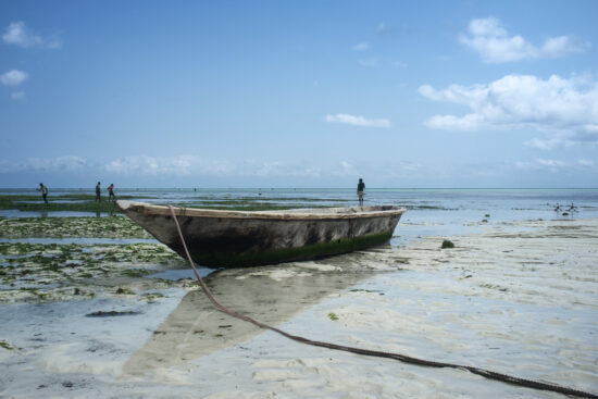Beached