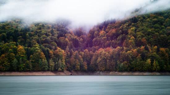 Autumn colours