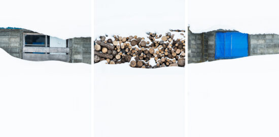 Triptych - Under the snow